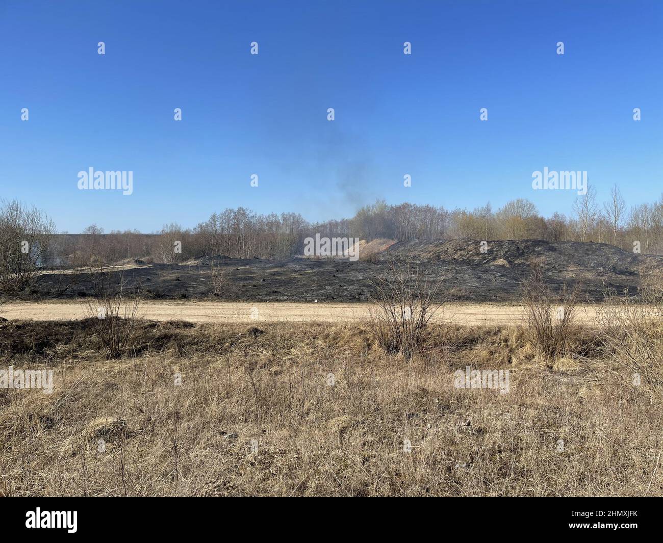 Field fire, natural disaster. After the fire, the ground is covered