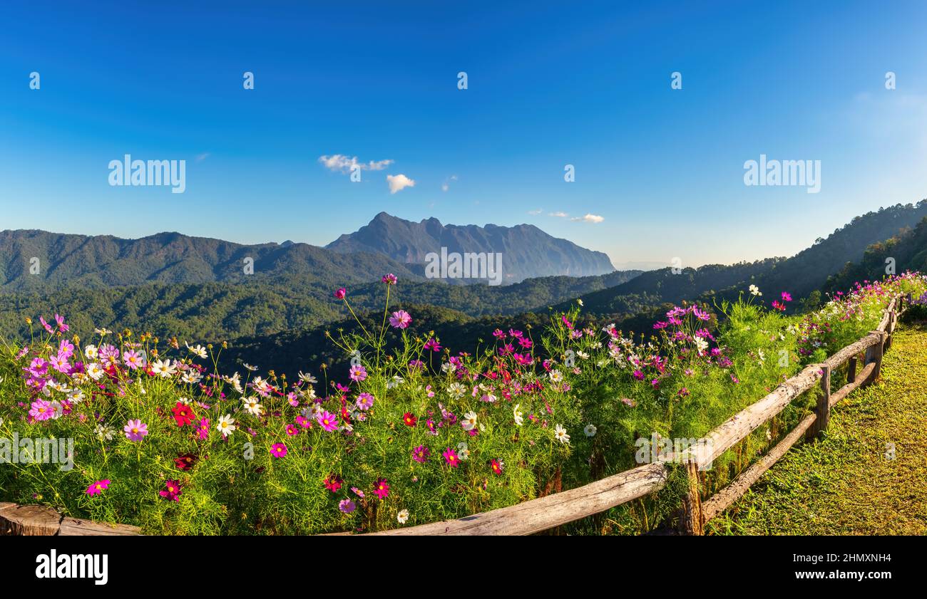 Tropical forest nature landscape view with mountain range at Doi Chiang Dao, Chiang Mai Thailand panorama Stock Photo