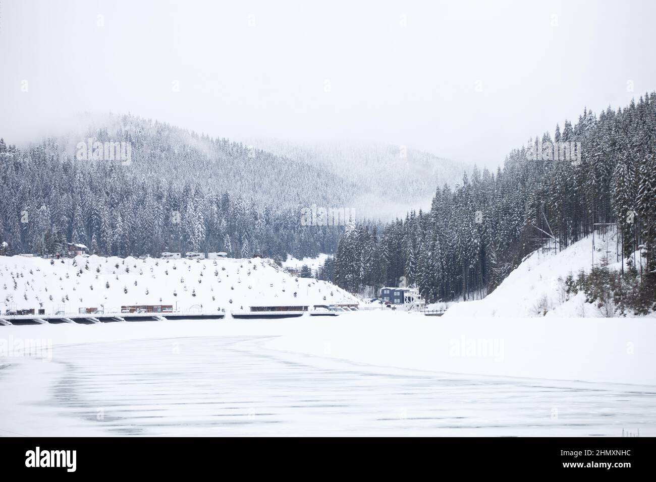 Pine trees covered with snow on the mountain slopes. Conifers in winter ...