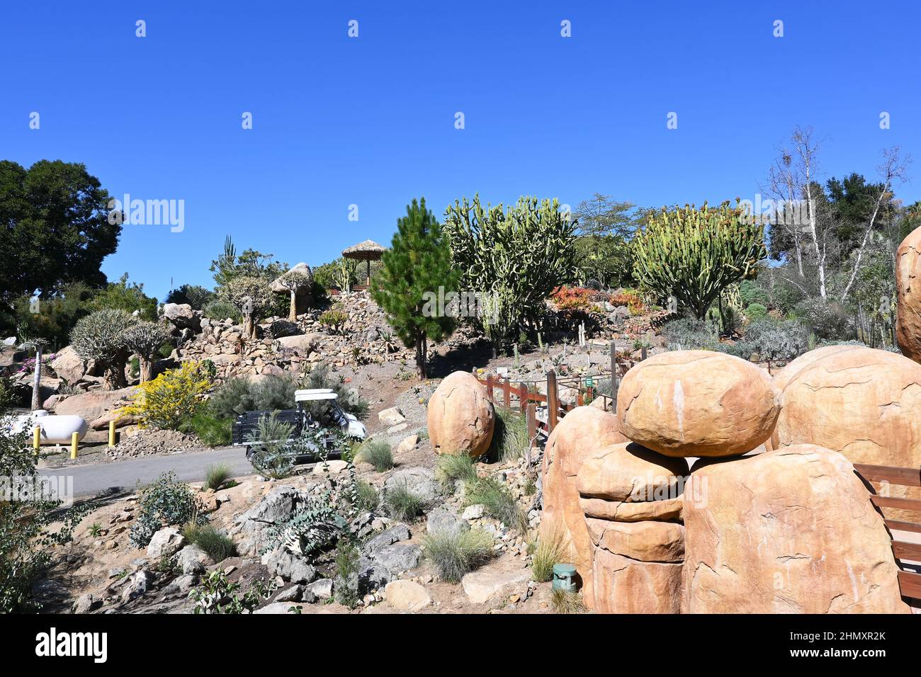 ESCONDIDO, CALIF - 9 FEB 2022: The Old World Succulent Garden at the San Diego Zoo Safari Park Stock Photo
