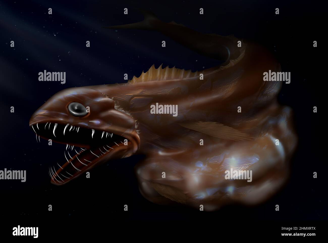 Black swallower fish deals