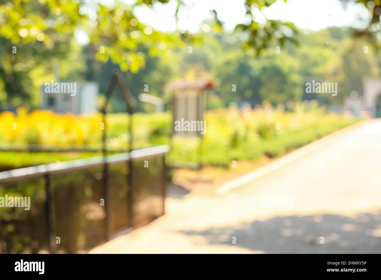 Blurred view of beautiful green park on summer day Stock Photo - Alamy