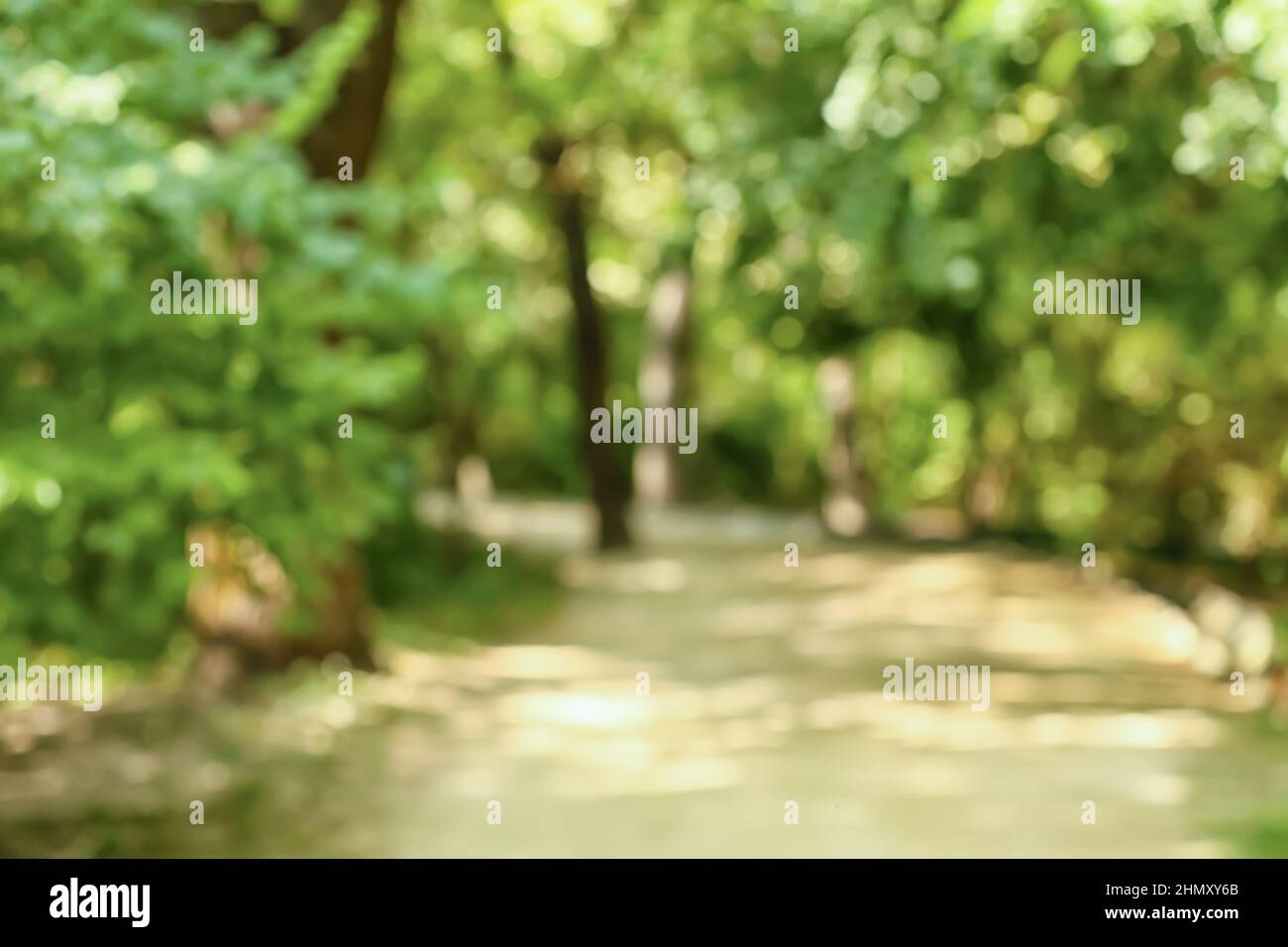 Alley in beautiful green park on summer day, blurred view Stock Photo ...