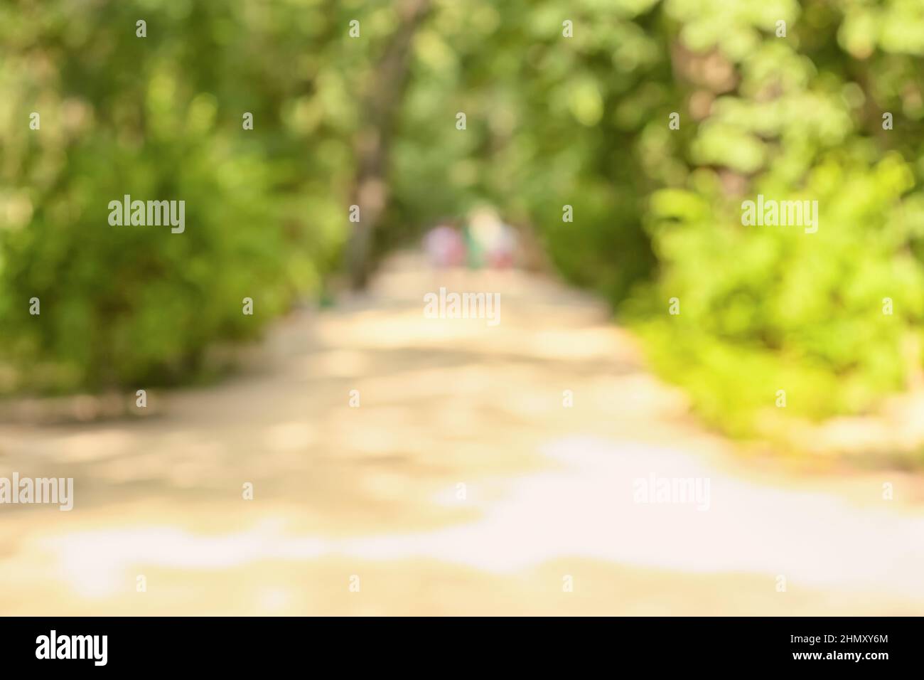 Alley in beautiful green park on summer day, blurred view Stock Photo ...