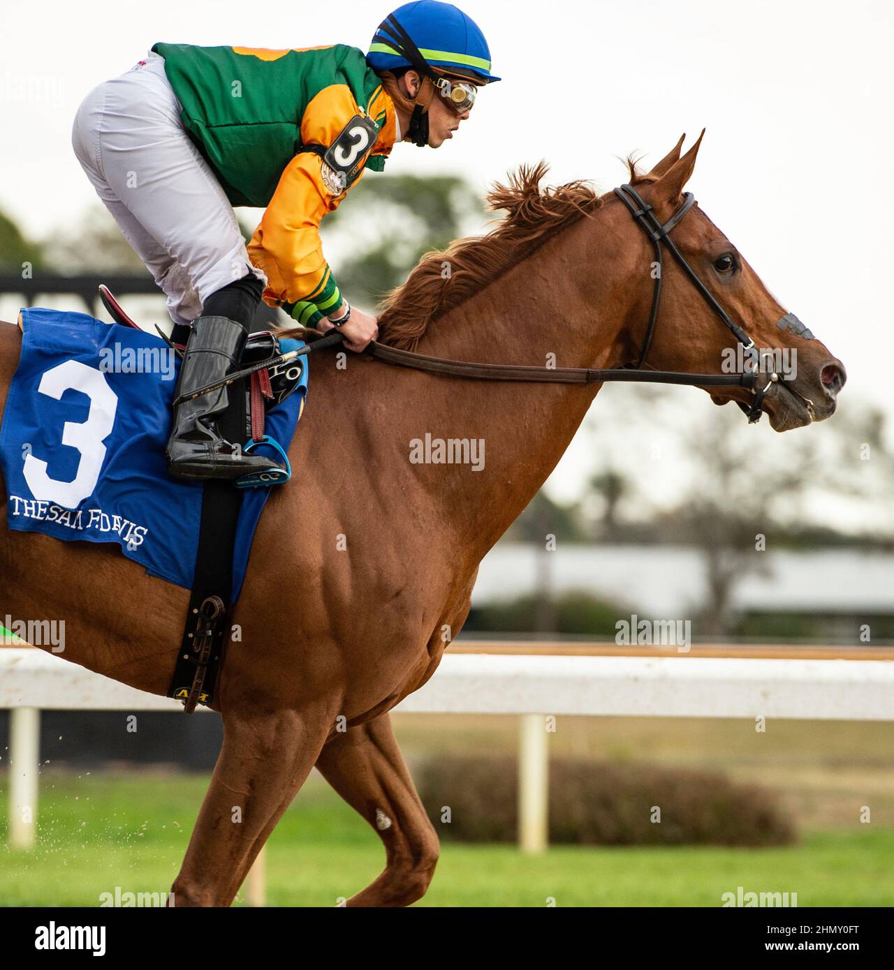 Oldsmar, Florida, USA. 12th Feb, 2022. February 12, 2022: #3 CLASSIC CAUSEWAY with Jockey Irad Ortiz, Jr. in the irons for Trainer Bryan Lynch decisively win the 42nd Running of the $250,000 Grade III Sam F. Davis Stakes at Tampa Bay Downs in Oldsmar, Florida on February 12, 2022. Dennis/Eclipse Sportswire/CSM/Alamy Live News Stock Photo