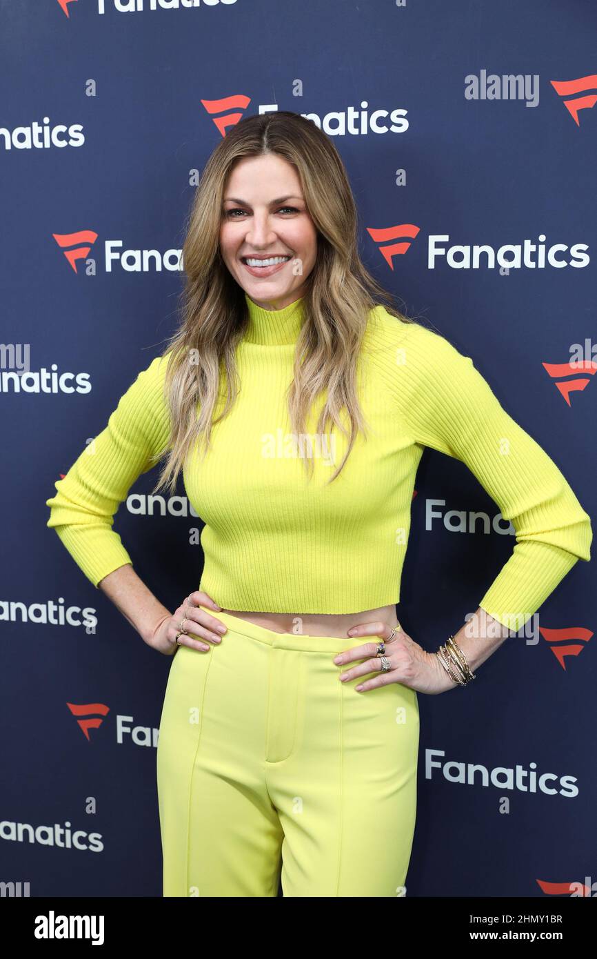 Erin Andrews arrives at Michael Rubin's Fanatics Super Bowl Party at