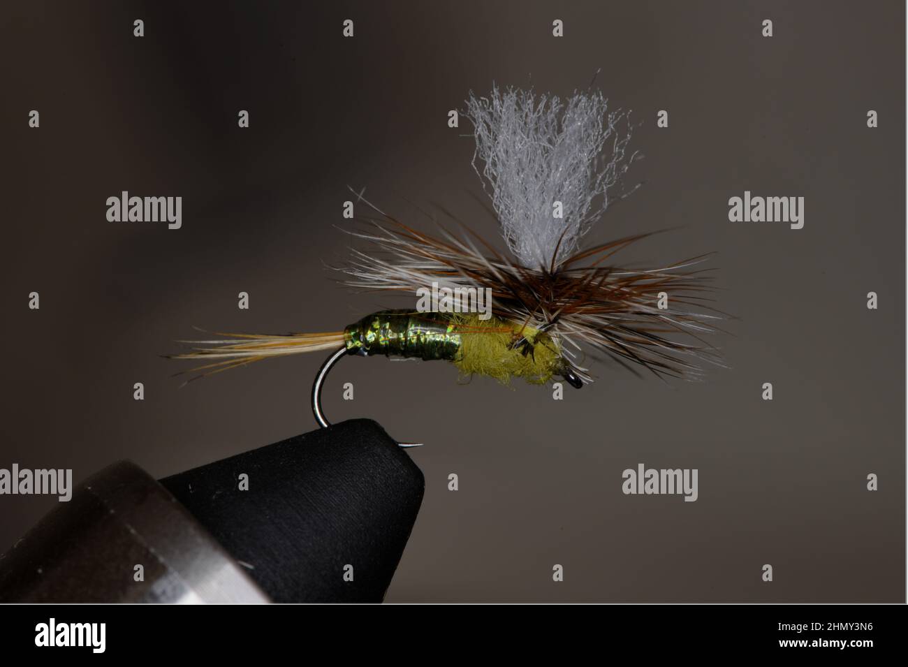 Closeup shot of a fishing hackle on a blurred background Stock