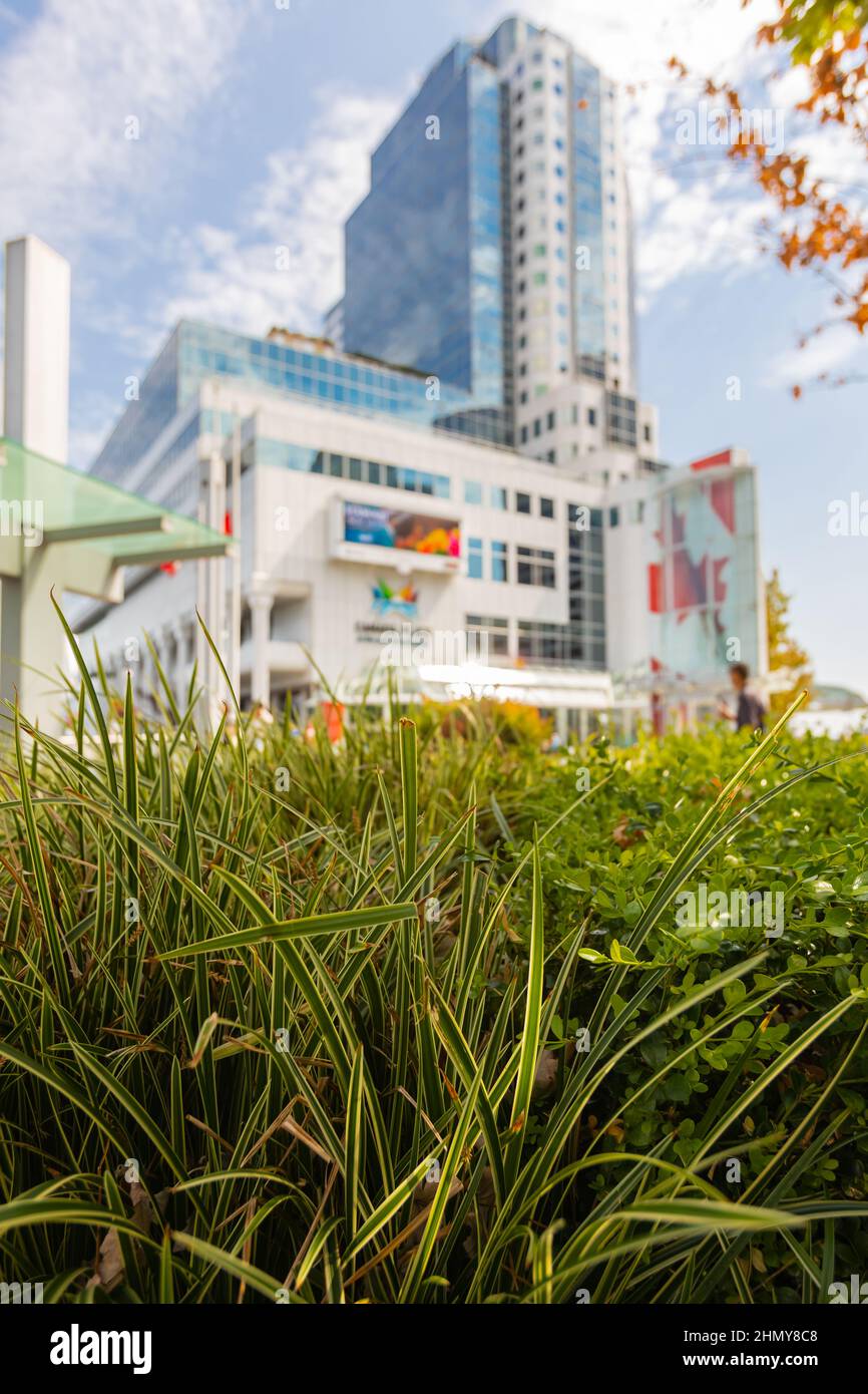 Modern environment hi-res stock photography and images - Alamy