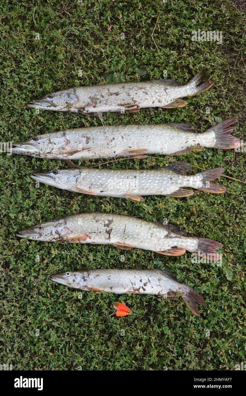 Fishing markers hi-res stock photography and images - Alamy