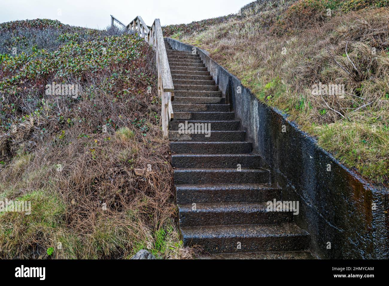 A concrete stairway on the Captain Cook Trail at Cape Perpetua State Park, Oregon, USA Stock Photo