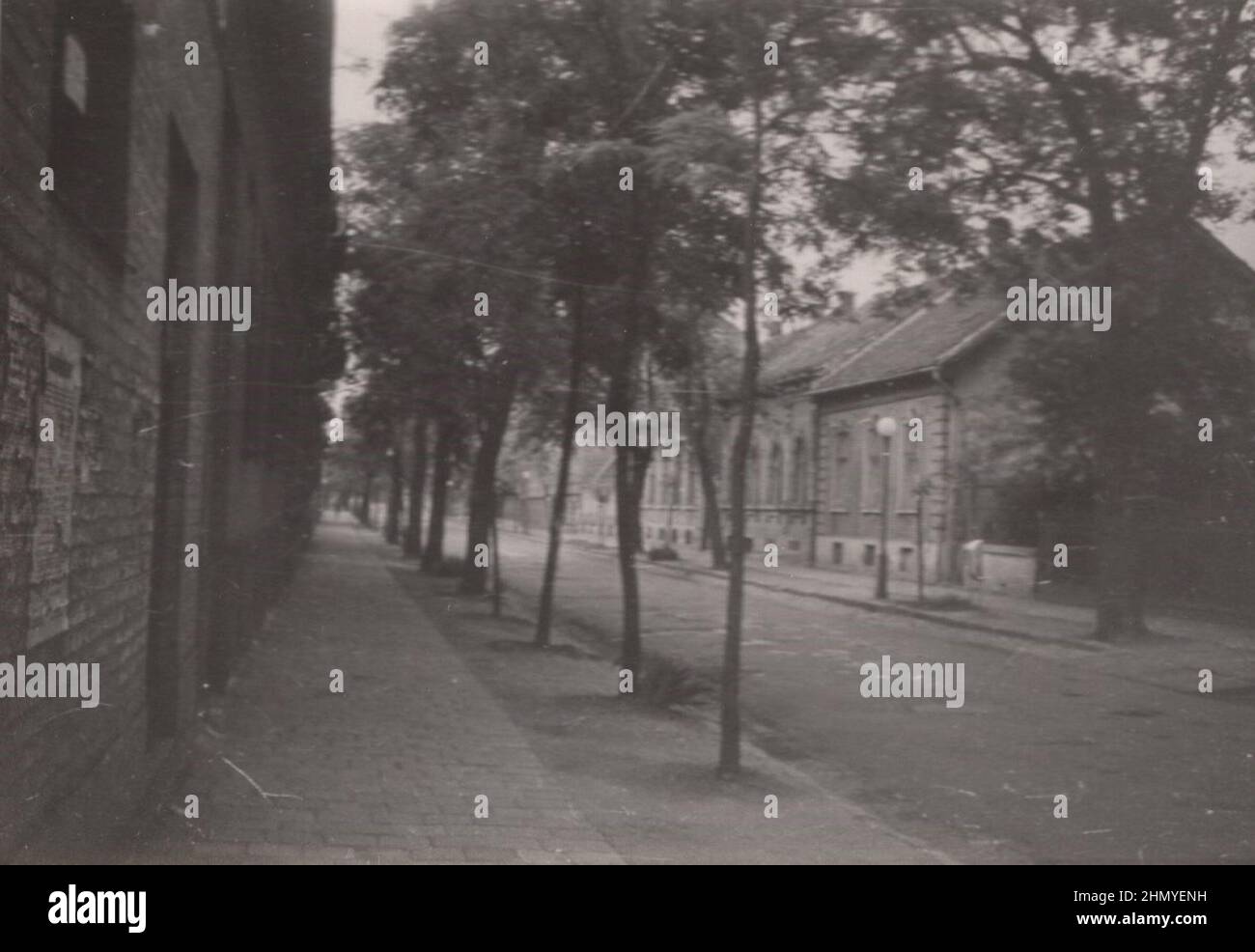 vintage empty street view photo from 1910s Hungary source: original ...