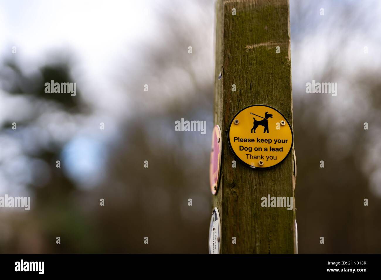 Please keep your dog on a lead information sign in the rural countryside to protect wildlife, farmers livestock and other people walking in the area f Stock Photo