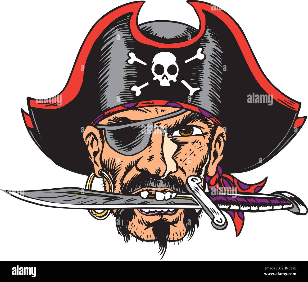 Pirate Mascot Head Vector Illustration Stock Vector Image & Art - Alamy