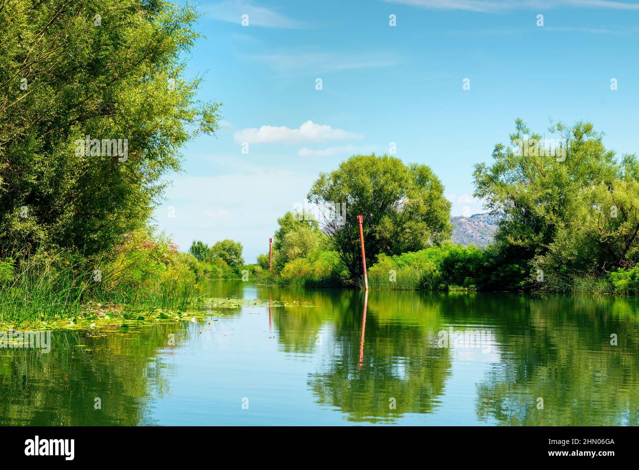 View of the Skadar lake in the national park of Montenegro Stock Photo