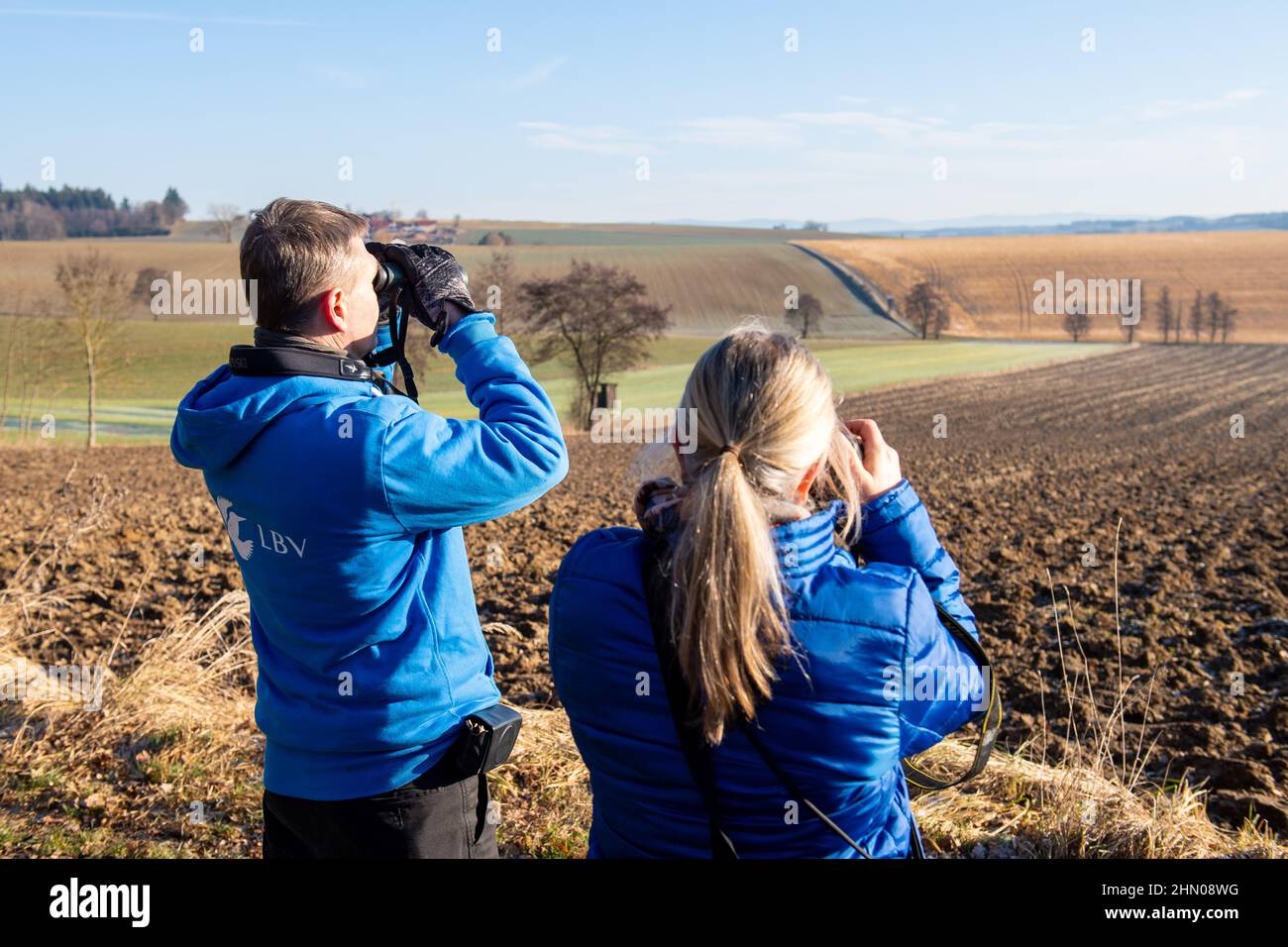 Mengkofen, Germany. 13th Feb, 2022. Members of the Landesbund für Vogelschutz (LBV) look over a field with binoculars while searching for poison baits for birds of prey. Credit: Lennart Preiss/dpa/Alamy Live News Stock Photo