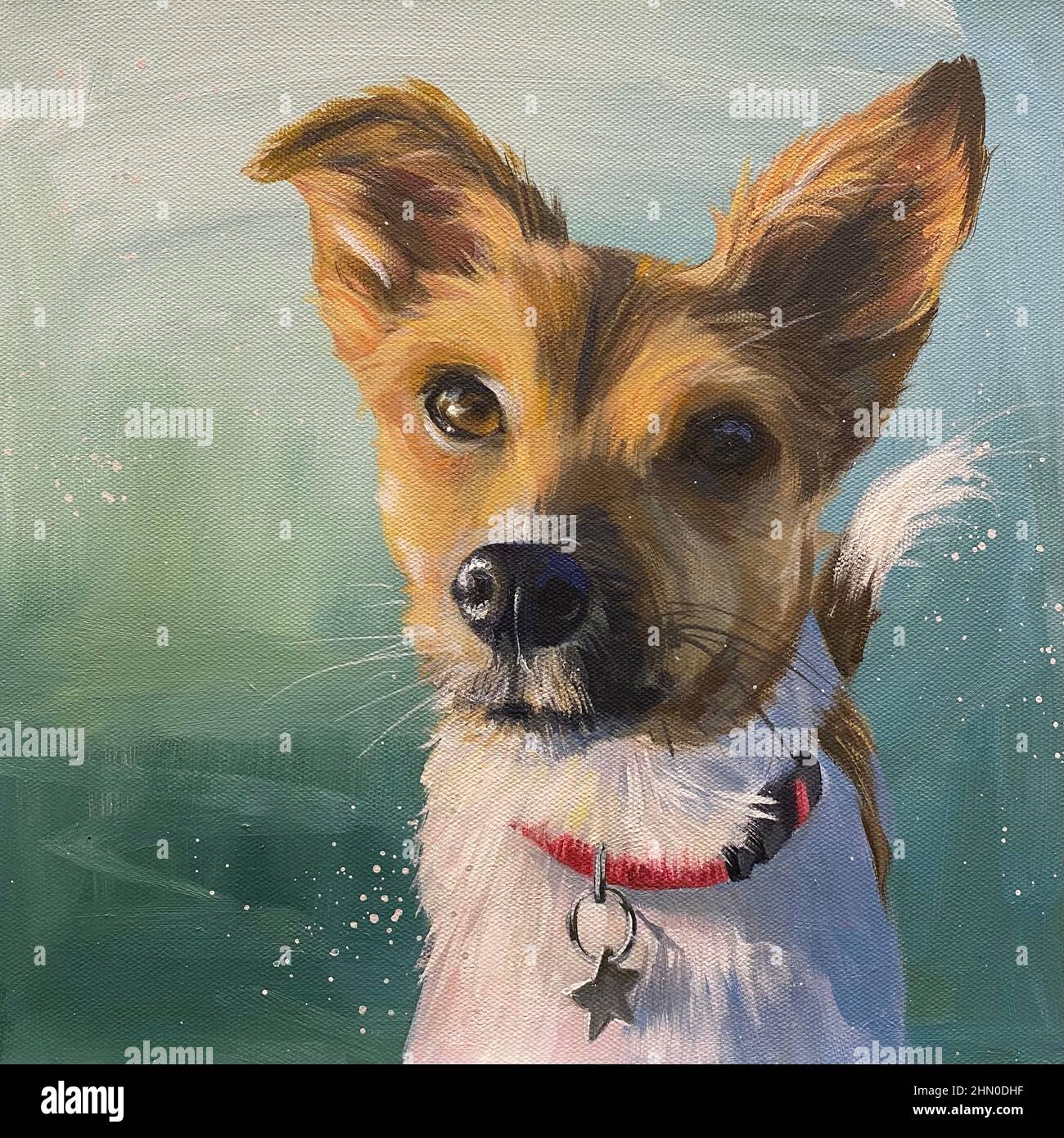 Painting of a jack Russell Terrier dog Stock Photo Alamy