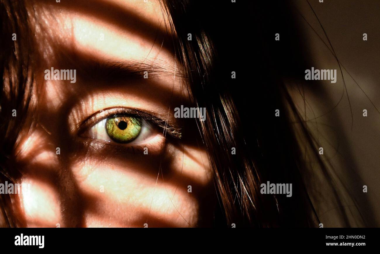 A girl with green eyes looking at the camera. Shadows from window blinds are seen across her face. Stock Photo