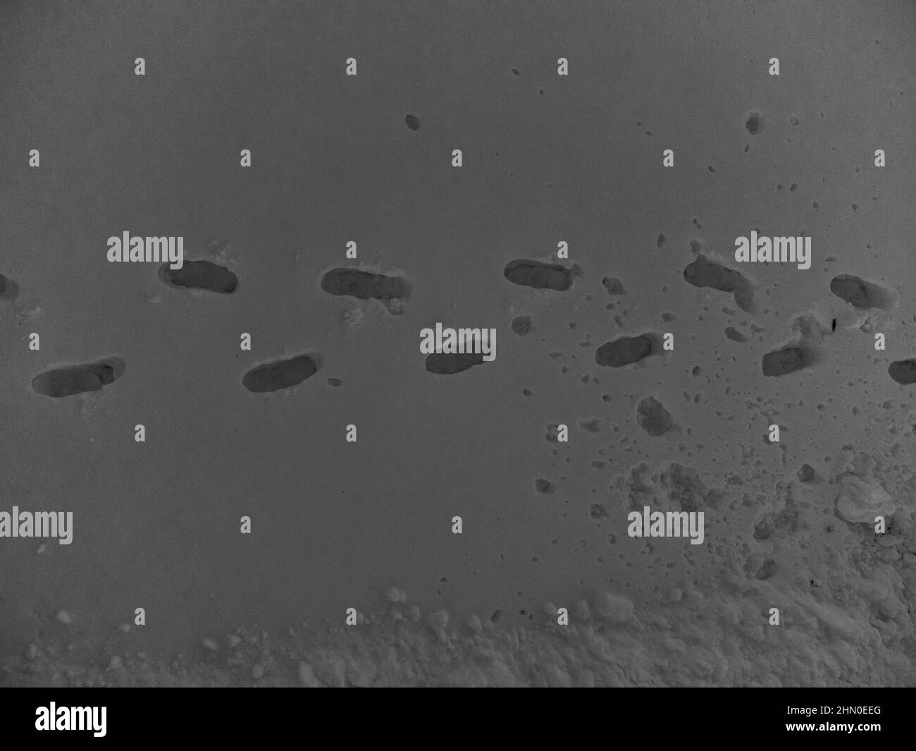 Footsteps on the ground Stock Photo