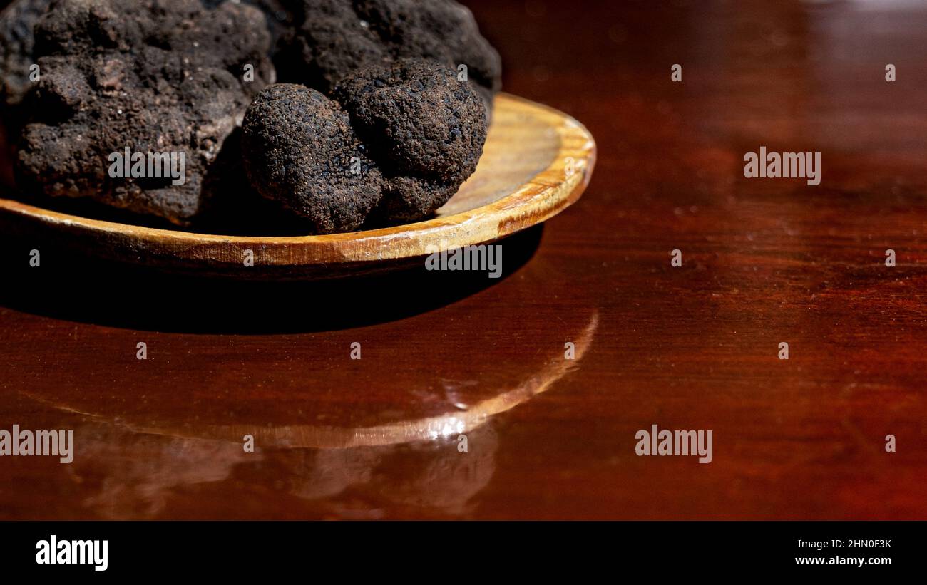 Black truffle or Périgord truffle, called black gold because of its