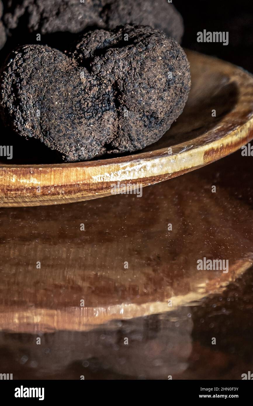 Black truffle or Périgord truffle, called black gold because of its