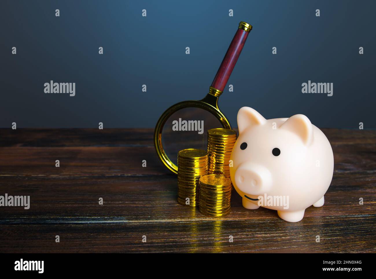 Piggy bank with money and magnifying glass. Find new investments and funds for business project. Fundraising, debt restructuring. Accounting and audit Stock Photo