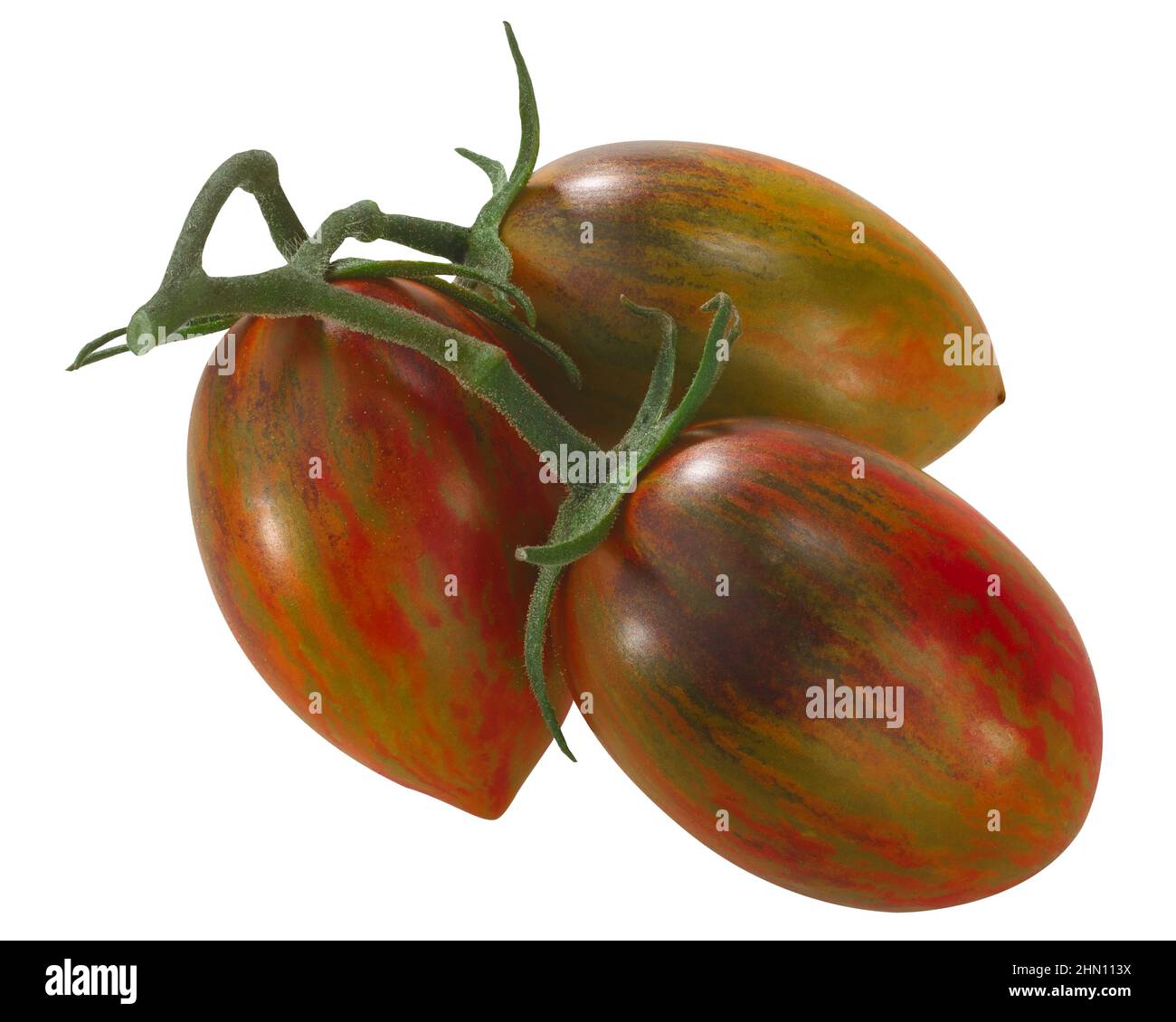 Brad's atomic grape heirloom tomatoes on the vine, cluster of, isolated (Solanum lycopersicum fruits) Stock Photo