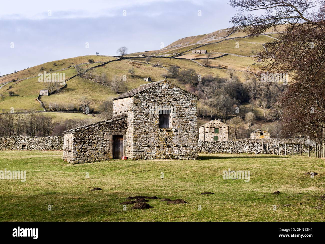 Traditional Yorkshire Dales barns in Swaledale, near the village of Muker, North Yorkshire. Stock Photo
