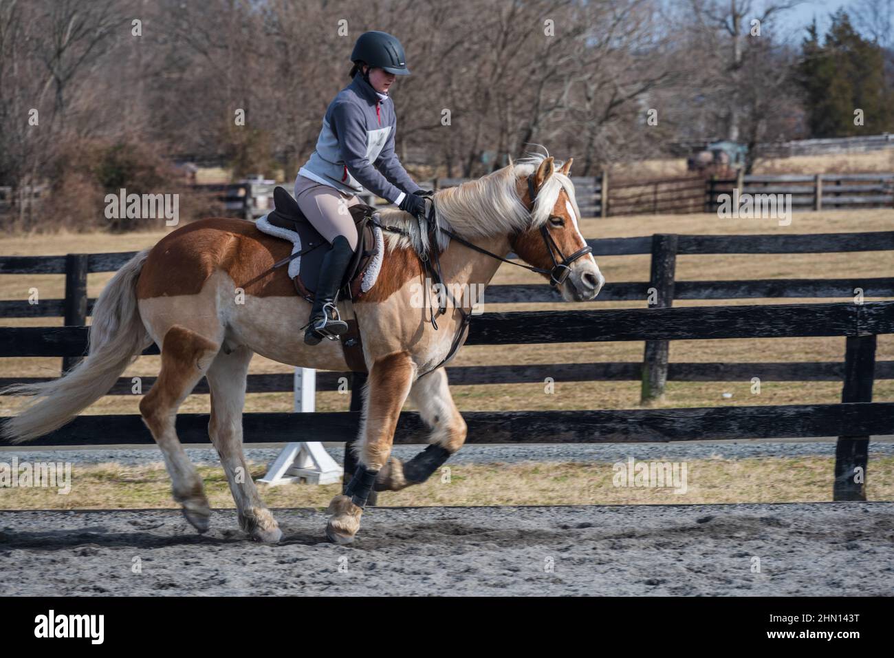 Herndon, VA, USA. A woman in formal English riding clothes on a