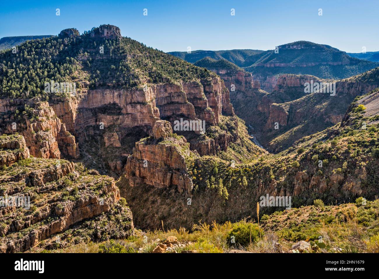 Salt River Canyon, view from Becker Butte Lookout, US Route 60, Fort Apache Indian Reservation, Eastern High Country, Arizona, USA Stock Photo