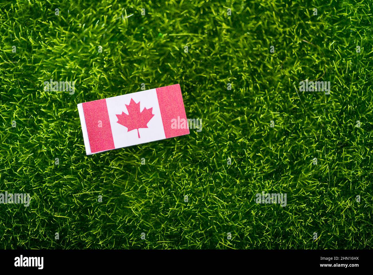 Canada flag, Canadian flag on a green grass lawn field background