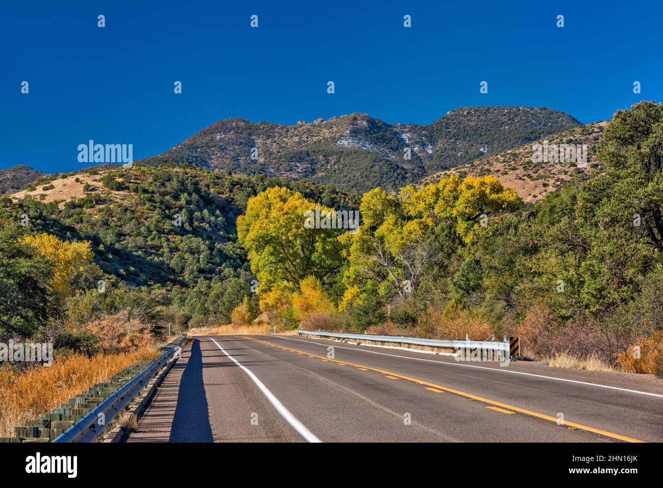 Sevenmile Mountains, early snow, cottonwoods in fall foliage, US Route 60, Tonto National Forest, Eastern High Country, near Globe, Arizona, USA Stock Photo