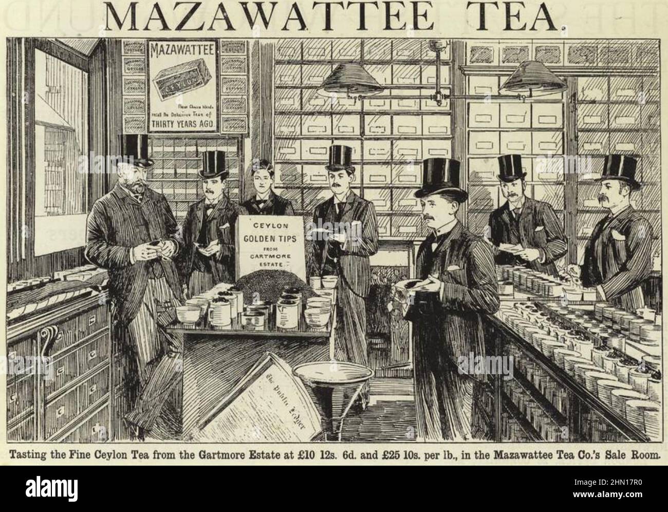 MAZAWATTEE TEA COMPANY  Checking for quality in a late 19th century advert. Stock Photo