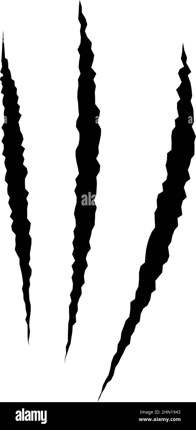 Cat scratches. Black claws animal scratch, Torn paper. Cat claws trace. Vector illustration on