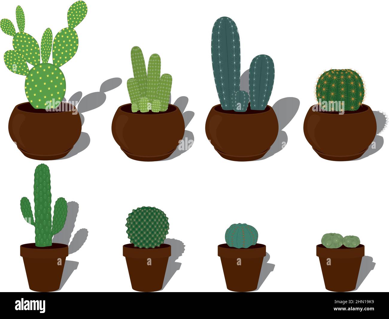 Cactus types collection in terracotta plant pots vector illustration Stock Vector