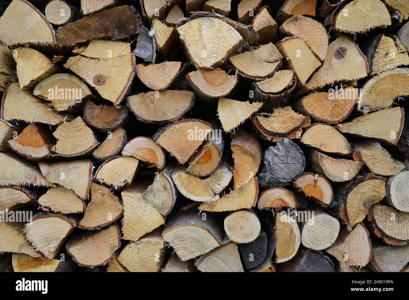 Firewood logs of different types of wood are stacked in the storage