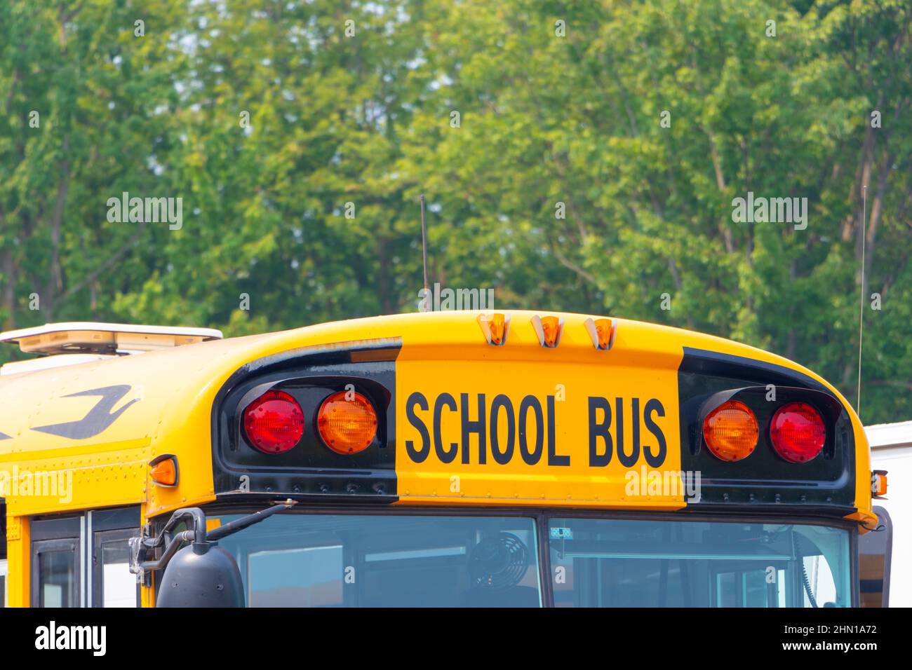 yellow north american school bus in Vancouver British Columbia Canada ...