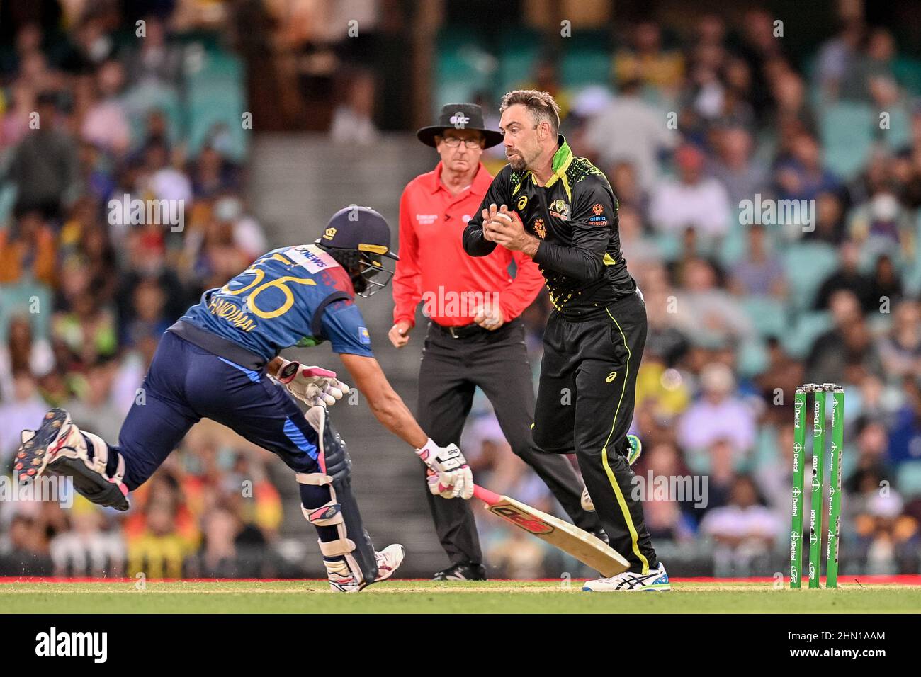 Sydney, Australia. 13th Feb, 2022. Dinesh Chandimal of Sri Lanka returns to the crease after an attempted run-out during game two in the T20 International series between Australia and Sri Lanka at Sydney Cricket Ground on February 13, 2022 in Sydney, Australia. (Editorial use only) Credit: Izhar Ahmed Khan/Alamy Live News/Alamy Live News Stock Photo