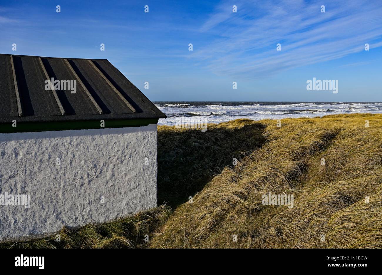 Stenbjerg, Denmark. 30th Jan, 2022. View over the dune landscape in Thy National Park on the North Sea coast. On the west coast of Jutland, between the lighthouse in Hanstholm and the Agger Tange, is Denmark's first and largest national park Thy with a total of 244 square kilometers of unspoiled and magnificent nature. Credit: Patrick Pleul/dpa-Zentralbild/ZB/dpa/Alamy Live News Stock Photo