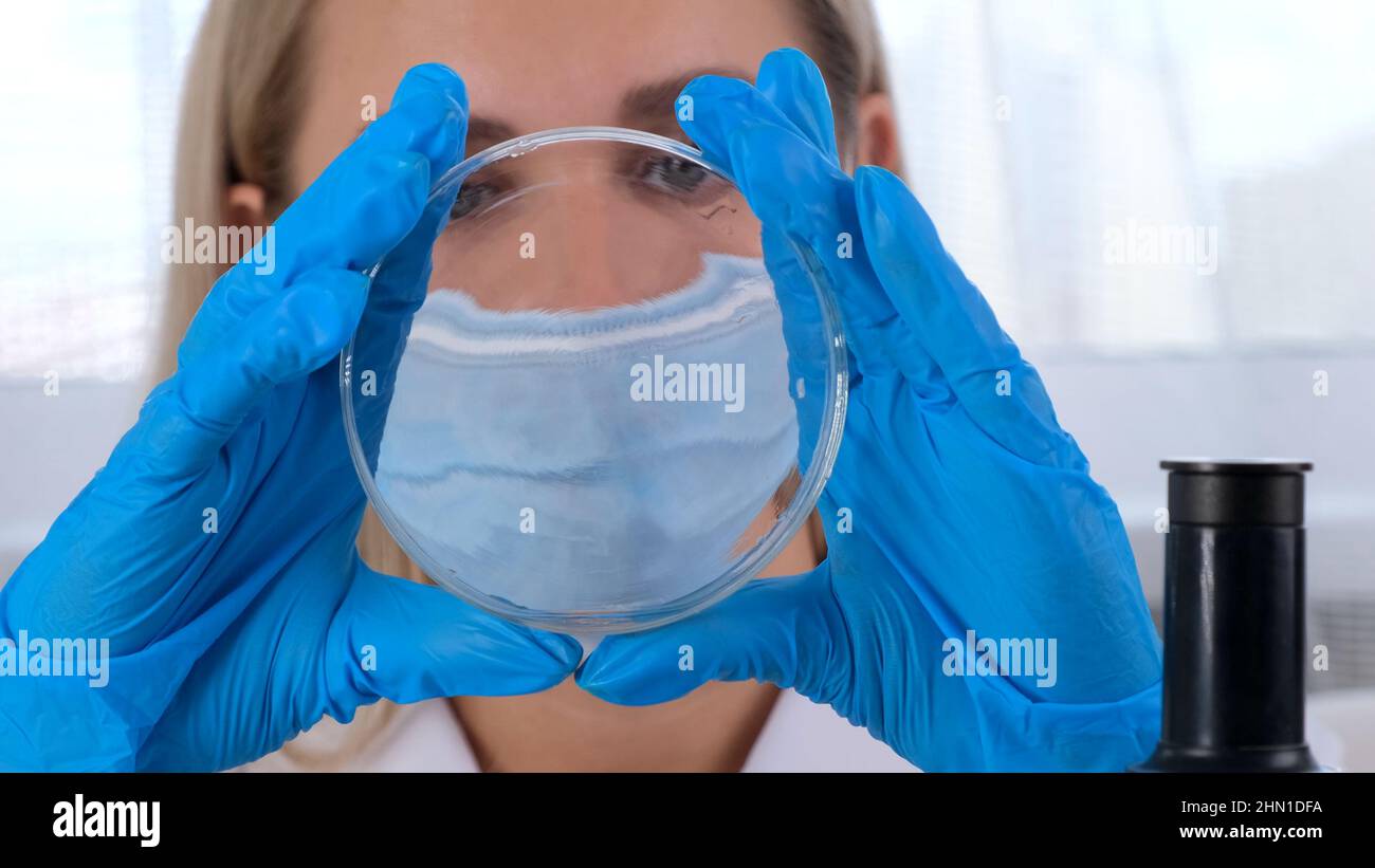 Female laboratory assistant analyzes samples using a microscope while working at a table in a laboratory, doing research Stock Photo