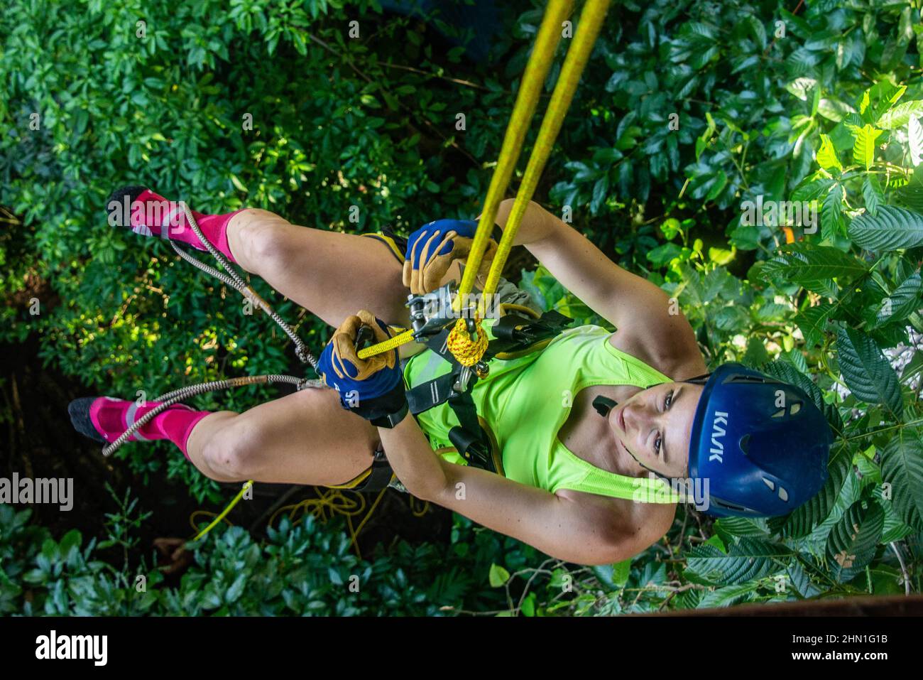 Climbing a rope to a jungle treehouse, Manzanillo, Costa Rica Stock Photo