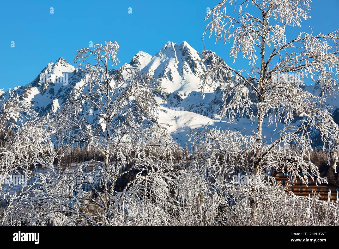 Winter landscape surrounded by trees hi-res stock photography and ...