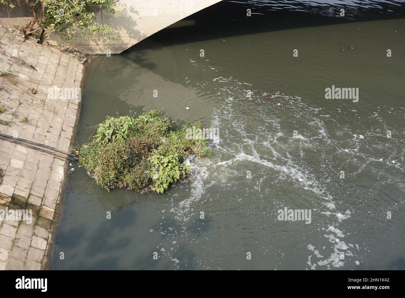 Polution on lake. Dirty water  Stock Photo