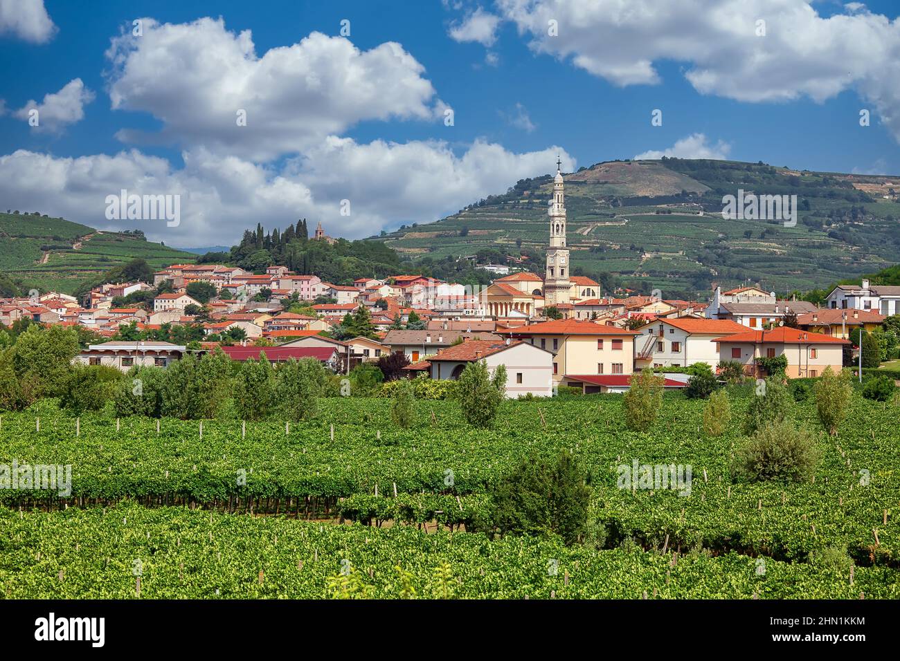 Panoramic view to the town of Monteforte d'Alpone, Italy Stock Photo