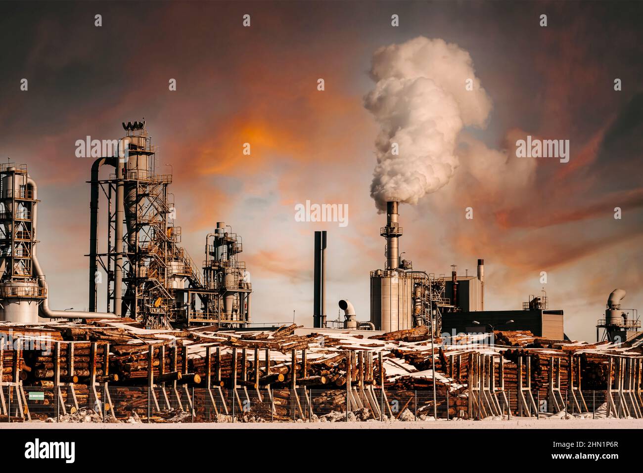 Wood processing plant. Furniture production. Industry. Environmental