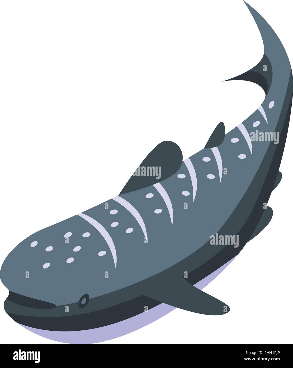 Whale shark icon isometric vector. Ocean fish. Animal marine Stock Vector