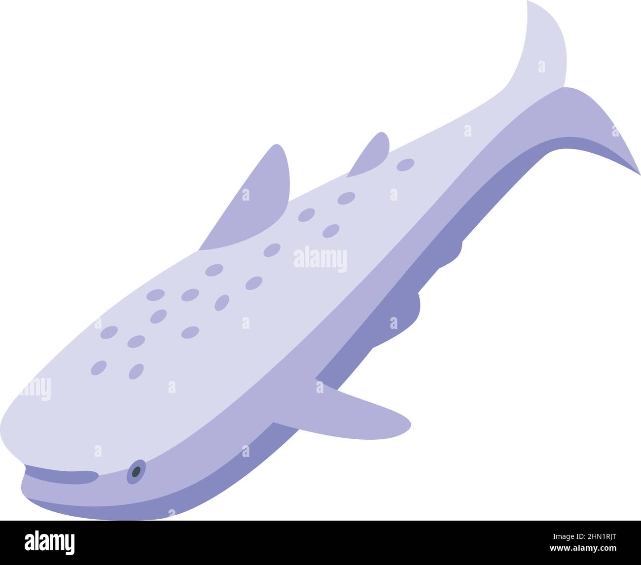 White whale shark icon isometric vector. Fish sea. Reef animal Stock Vector