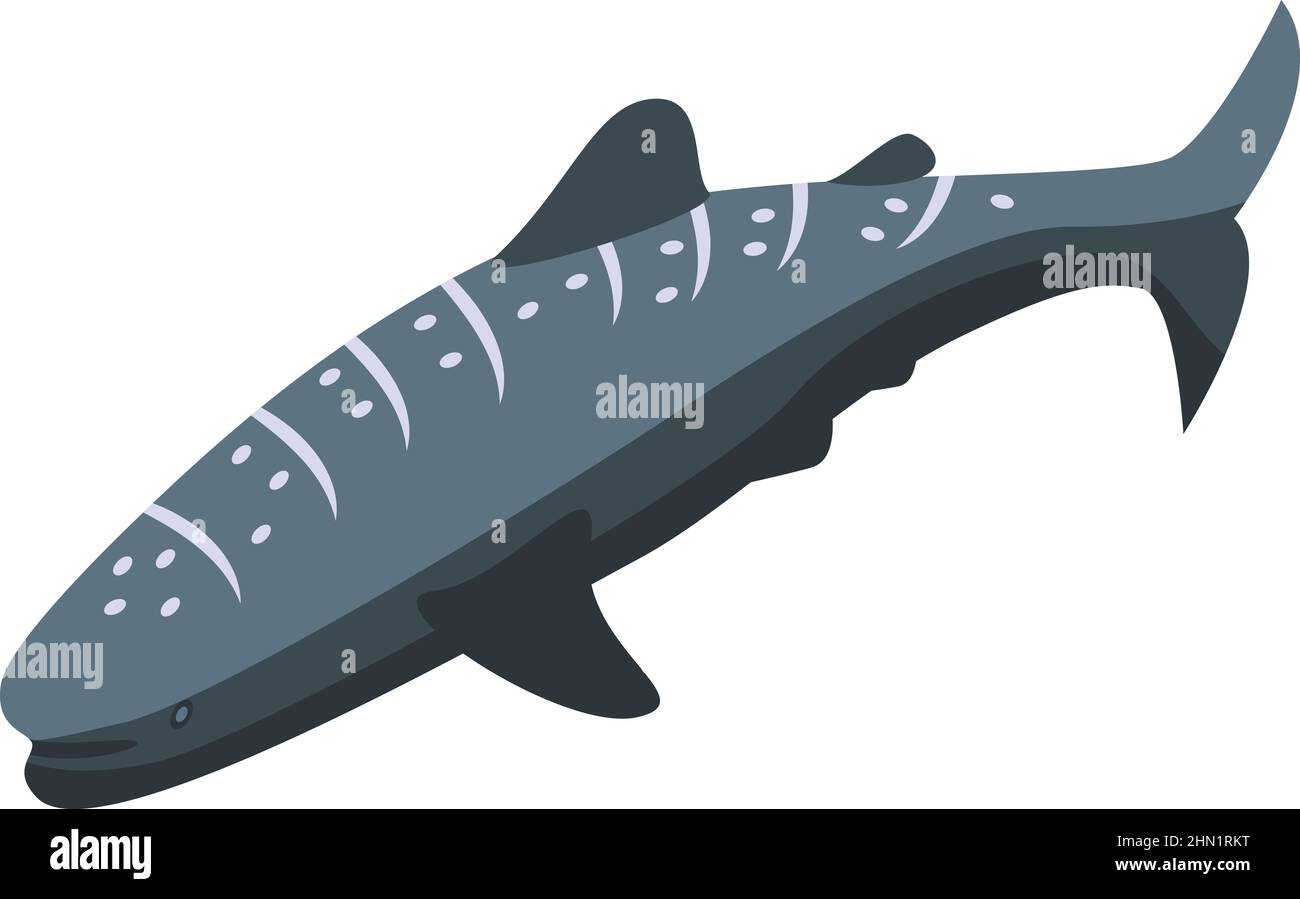Whale shark animal icon isometric vector. Fish sea. Marine species Stock Vector