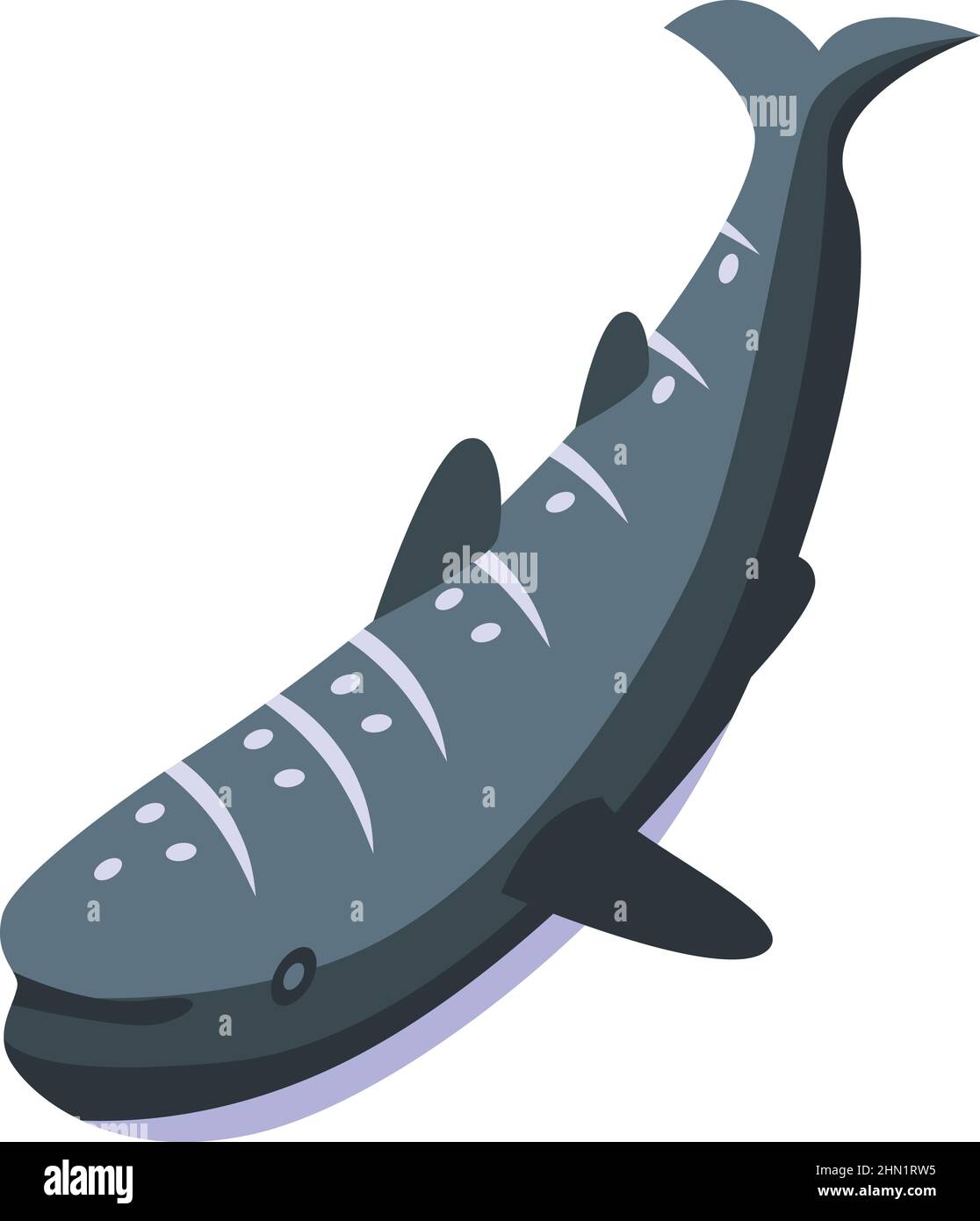 Sea whale shark icon isometric vector. Ocean fish. Marine aqua Stock Vector