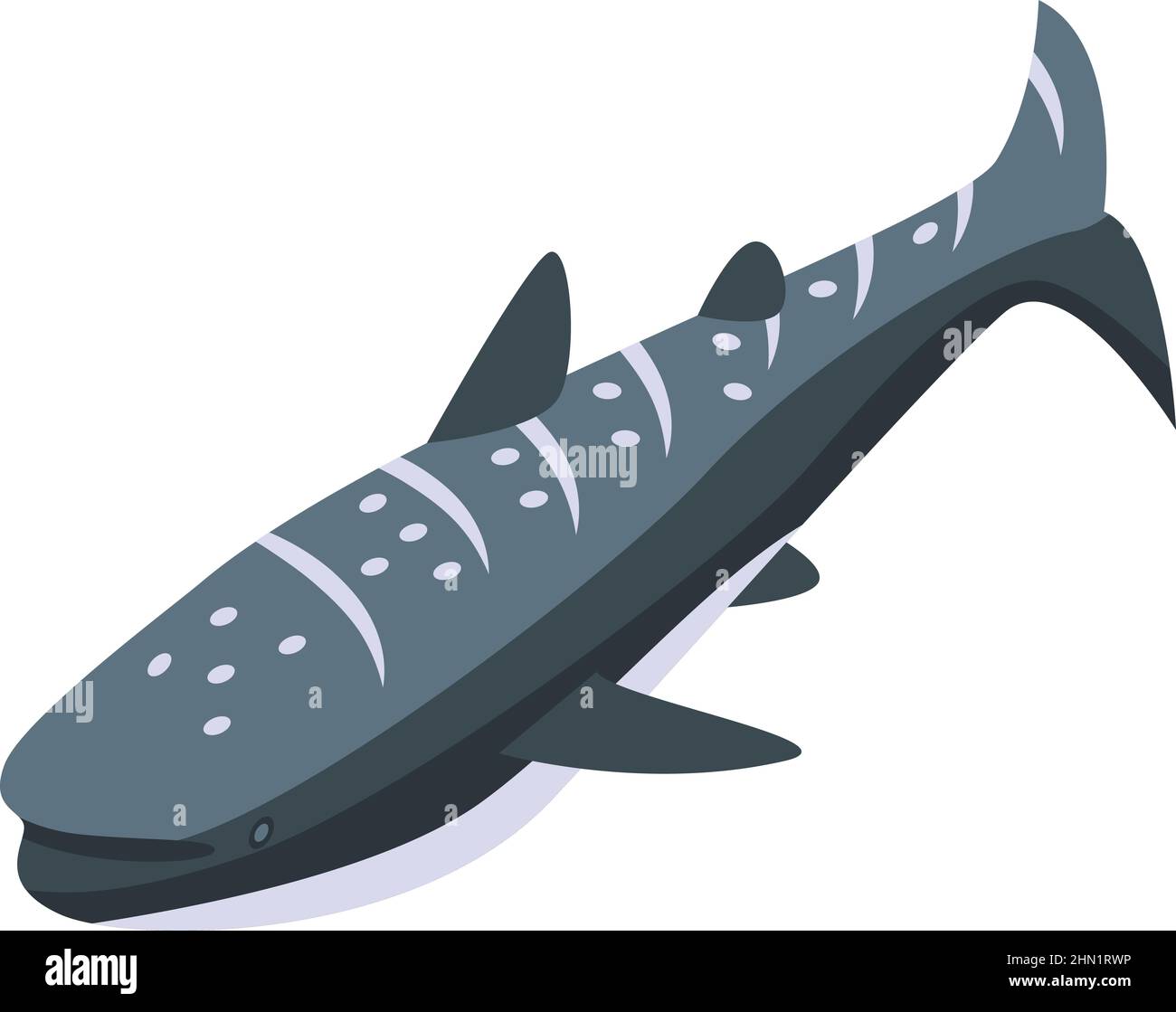 Reef whale shark icon isometric vector. Sea fish. Animal marine Stock Vector