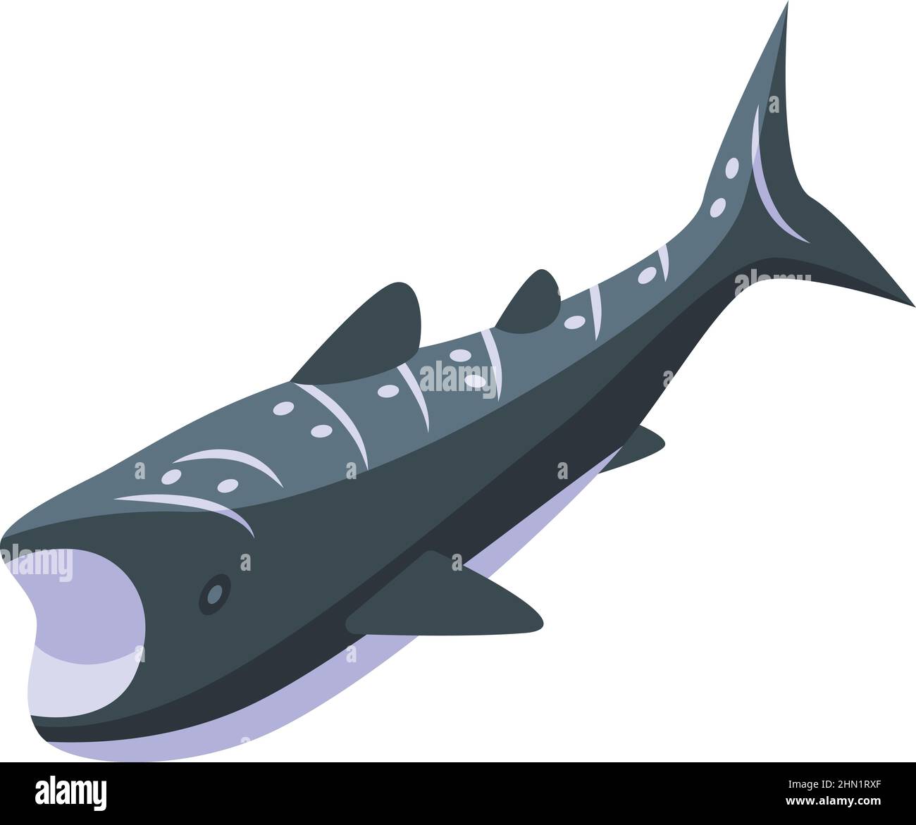 Whale shark animal icon isometric vector. Fish sea. Aquarium species Stock Vector